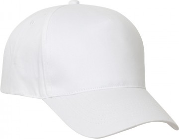 02406500texasbullcap