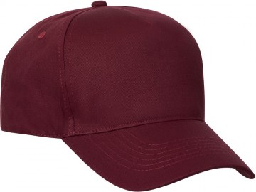 02406538texasbullcap