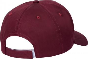 02406538texasbullcapback