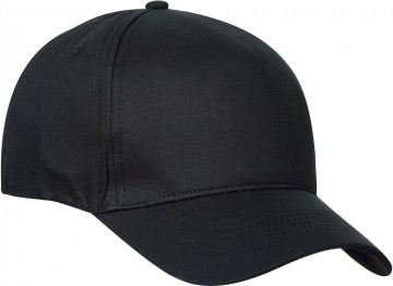 02406599texasbullcap
